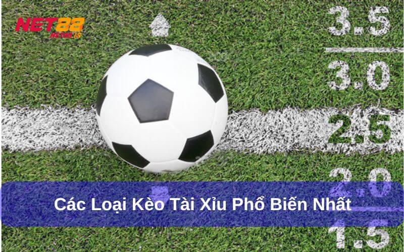 Khám phá các loại kèo tài xỉu phổ biến