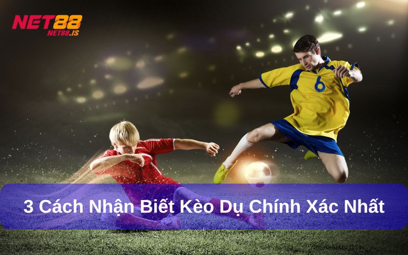 Cách nhận biết kèo dụ chính xác