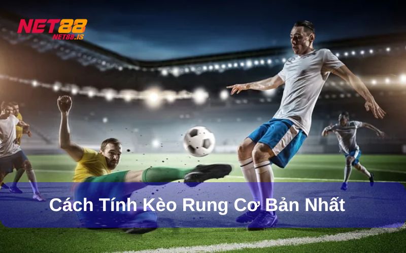 Cách tính kèo cược rung cơ bản