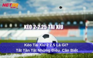 kèo tài xỉu 2 2.5 là gì